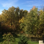 Fall view w sunny treed view
