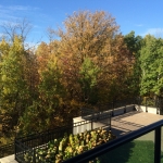 Fall view w terrace view sunny