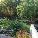 Greenery