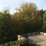 fall view w terrace 2