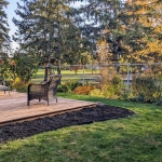 PXL_20241021_203518058.MP